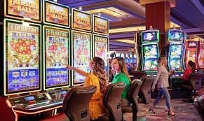 556 bet vip