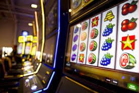 556 bet vip