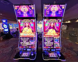 556 bet vip