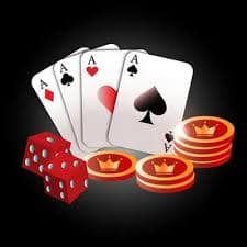 556 bet vip