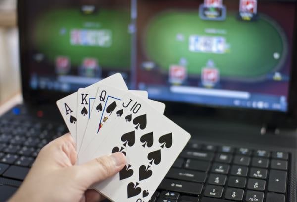 556 bet vip