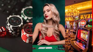 556 bet vip