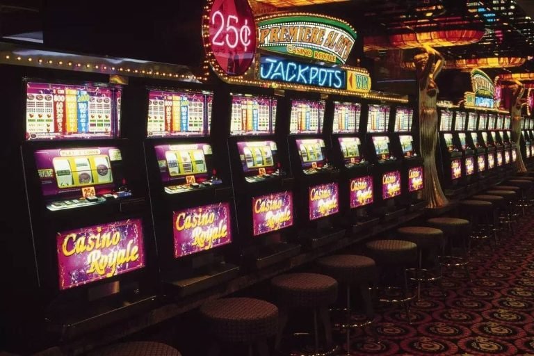 556 bet vip